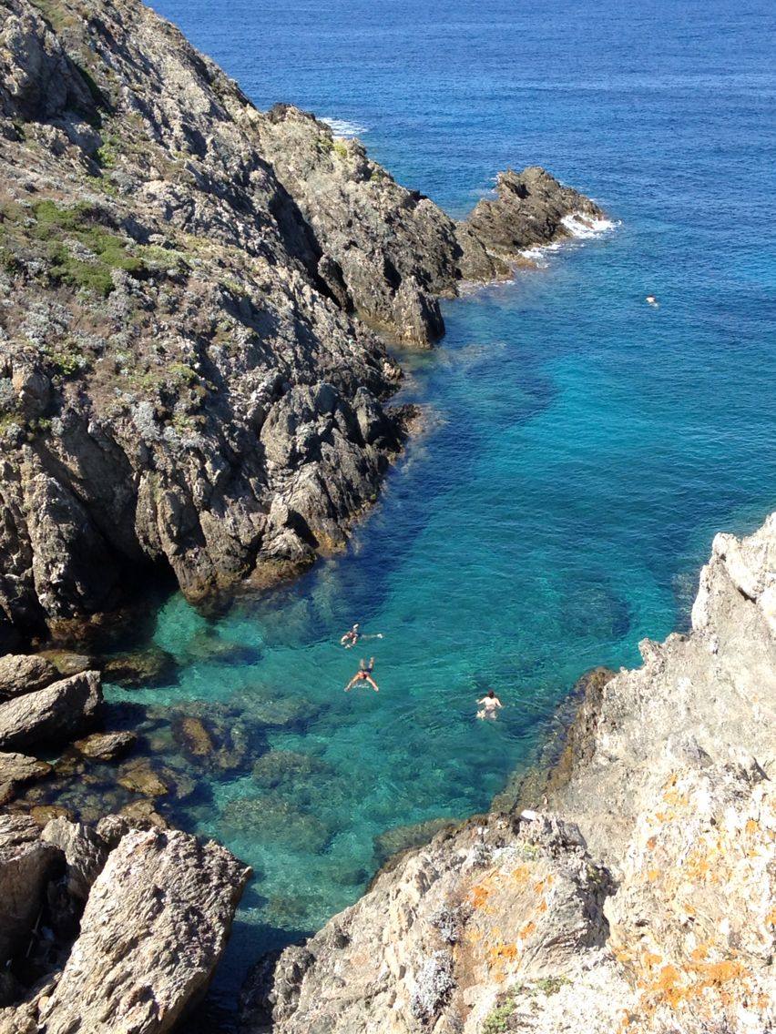 Randonneurs champs oliviers Porquerolles